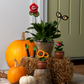 Mini Killer Plant Halloween Figurines | 3 Styles
