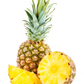 Pineapple 'Elite Gold' (Ananas comosus)