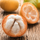 Santol (Sandoricum koetjape)