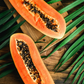 Papaya 'Dwarf Red Lady' (Carica papaya)