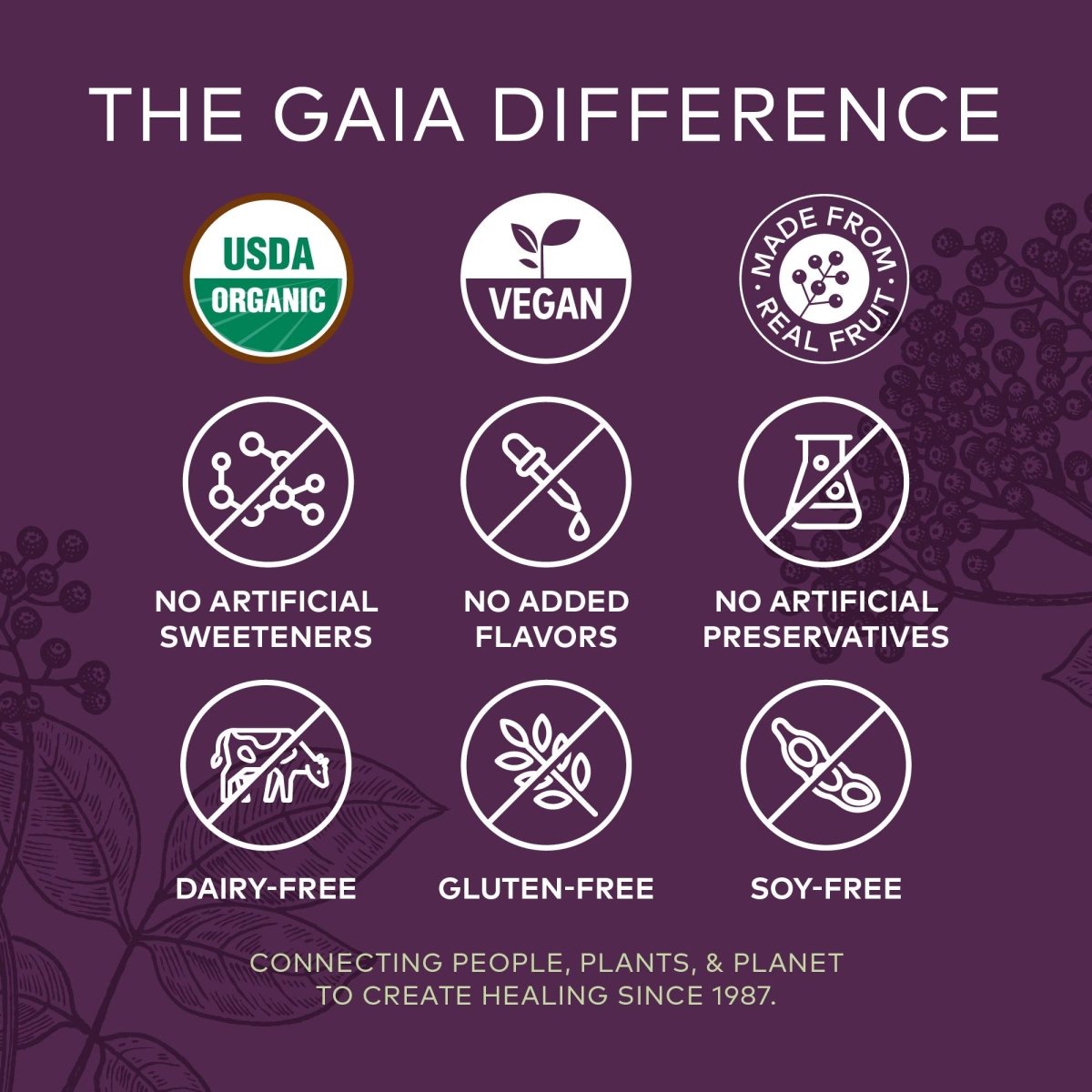 Gaia Herbs, Adult Daily Gummies, Organic, Vegan, Sambucus Black Elderberry Supplement for Daily Immune and Antioxidant Support, 40 Count (Pack of 1)
