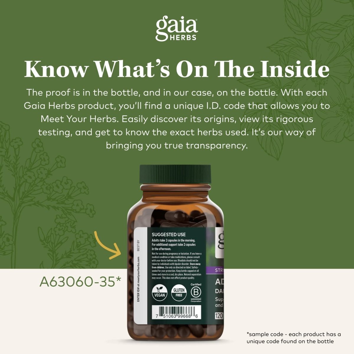 Gaia Herbs Black Elderberry -5.4 Fl Oz (32-Day Supply)