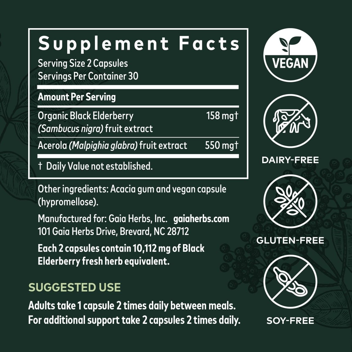 Gaia Herbs Black Elderberry - Daily Immune Support Supplement to Help Maintain Well-Being - 60 Vegan Capsules (30-Day Supply)
