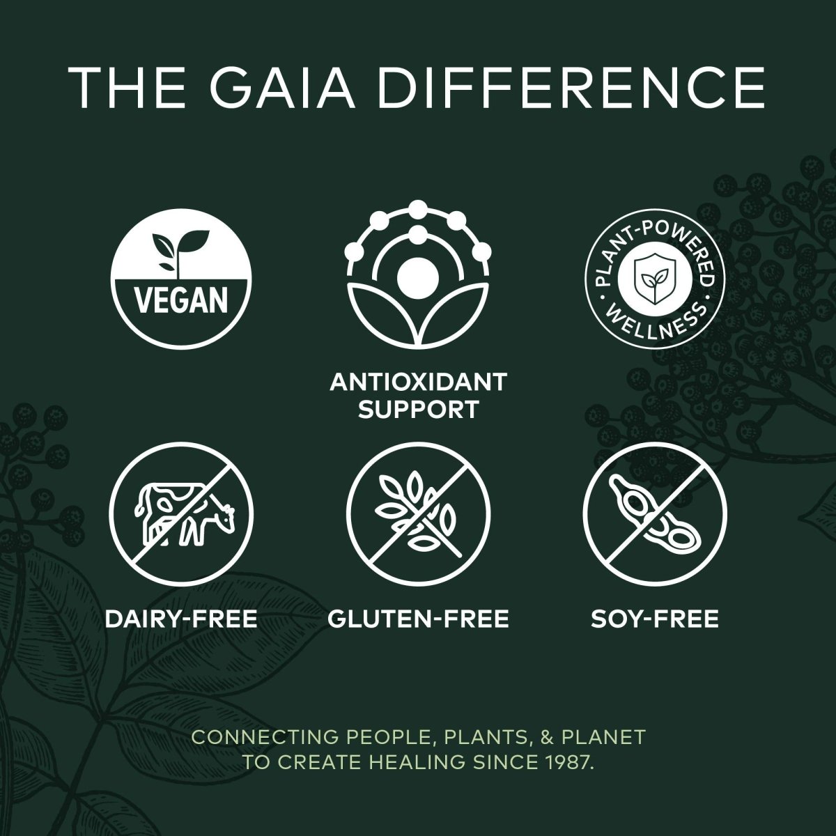 Gaia Herbs Black Elderberry - Daily Immune Support Supplement to Help Maintain Well-Being - 60 Vegan Capsules (30-Day Supply)
