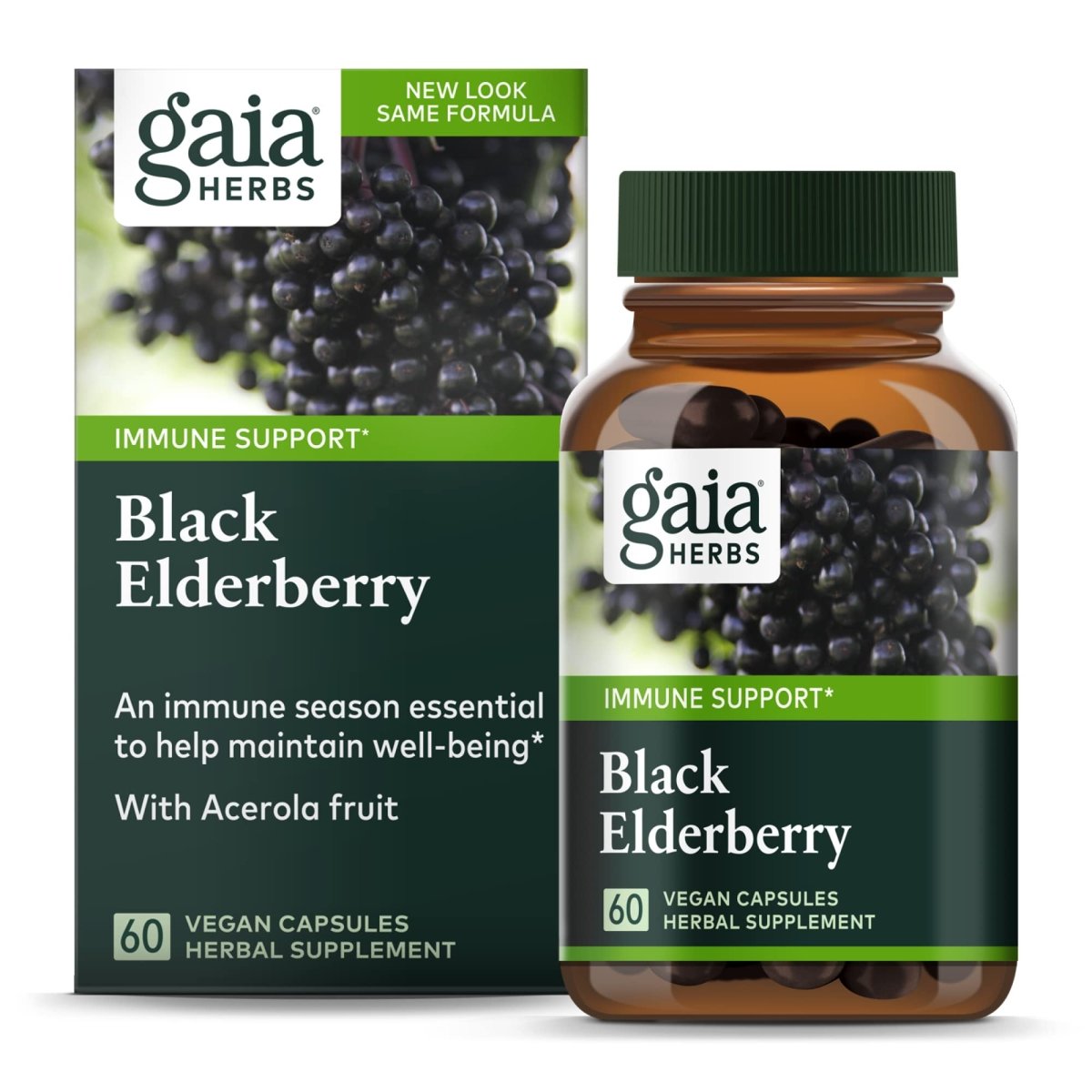 Gaia Herbs Black Elderberry - Daily Immune Support Supplement to Help Maintain Well-Being - 60 Vegan Capsules (30-Day Supply)