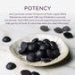 Gaia Herbs Black Elderberry Extra Strength 80 Gummies