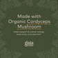 Gaia Herbs - Cordyceps Mushroom Energy Support 450 mg. - 40 Capsules