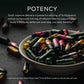 Gaia Herbs Echinacea Supreme 60 Vcaps