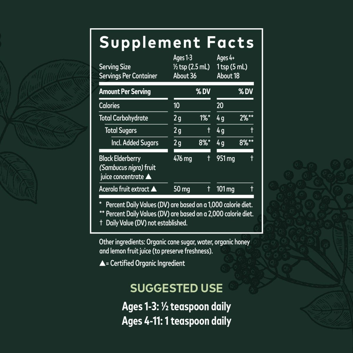 Gaia Herbs GaiaKids Black Elderberry Syrup - Delicious Immune Support Supplement for Kids - USDA Certified Organic Black Elderberry Syrup - 3 Fluid Ounces