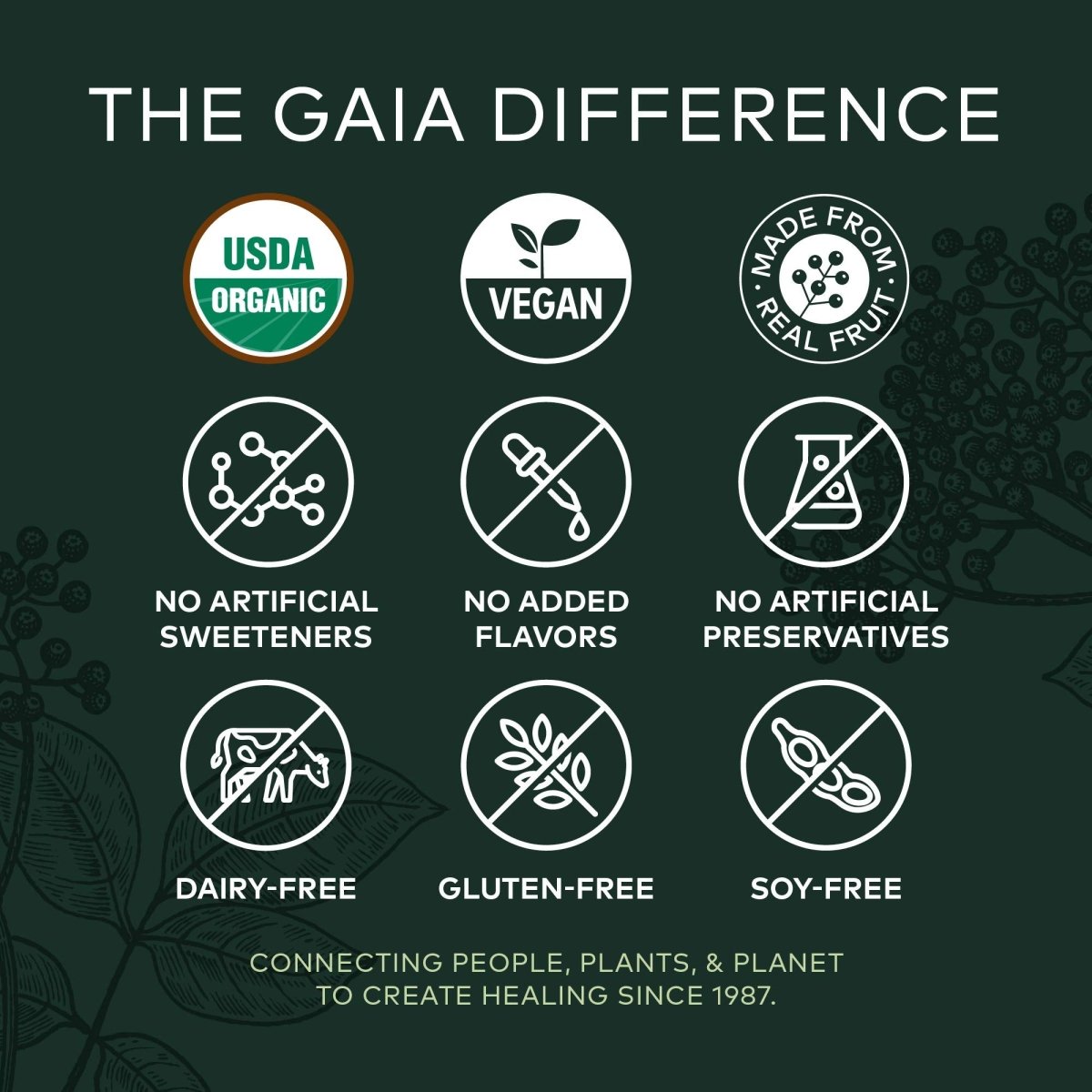 Gaia Herbs GaiaKids Black Elderberry Syrup - Delicious Immune Support Supplement for Kids - USDA Certified Organic Black Elderberry Syrup - 3 Fluid Ounces