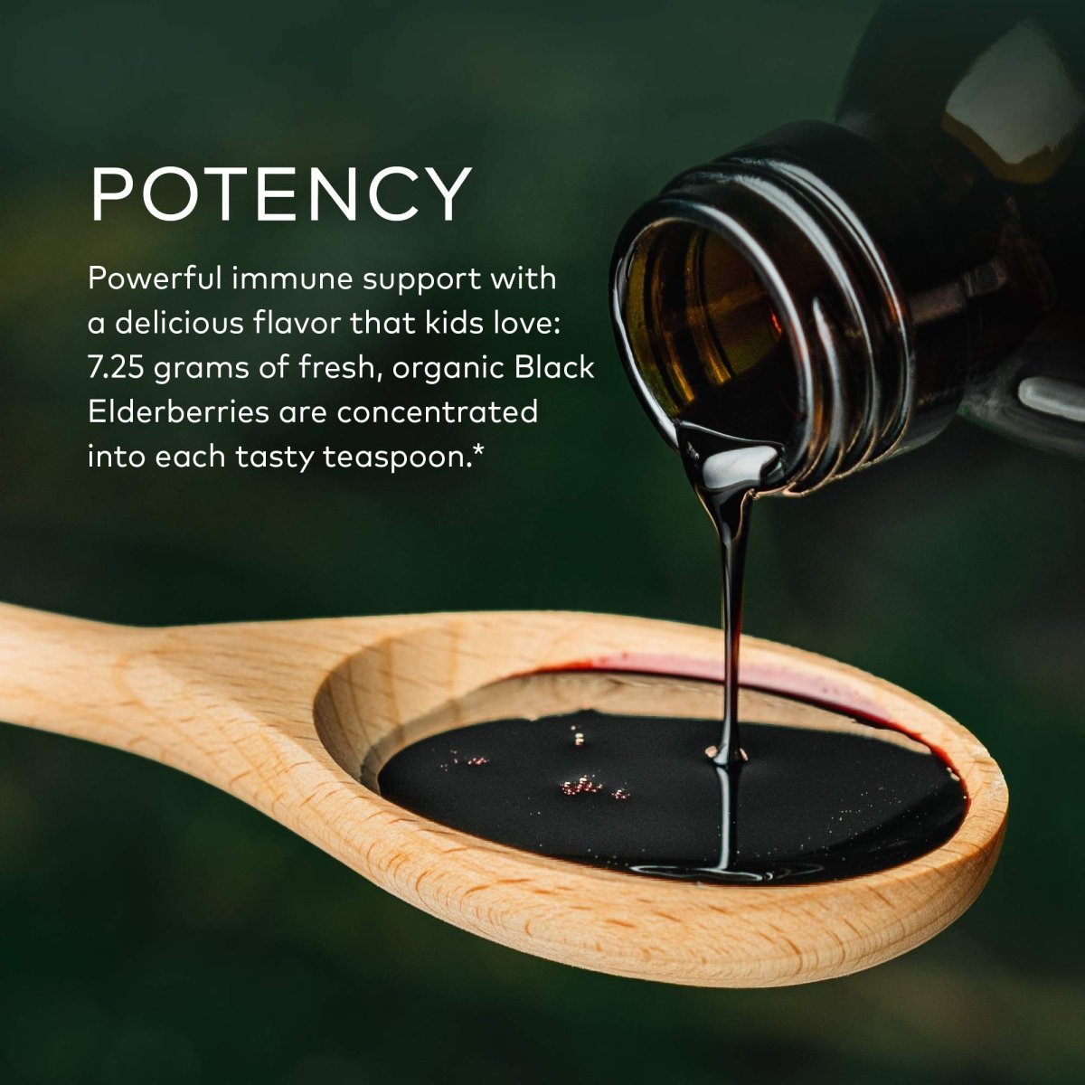 Gaia Herbs GaiaKids Black Elderberry Syrup - Delicious Immune Support Supplement for Kids - USDA Certified Organic Black Elderberry Syrup - 3 Fluid Ounces