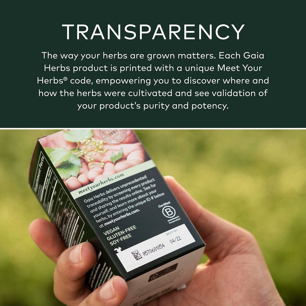 Gaia Herbs Holy Basil Leaf - an Adaptogenic Ayurvedic Herb - 120 Vegan Liquid Phyto-Capsules (60-Day Supply)