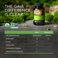 Gaia Herbs Immune Mushroom Blend 40 Vcaps