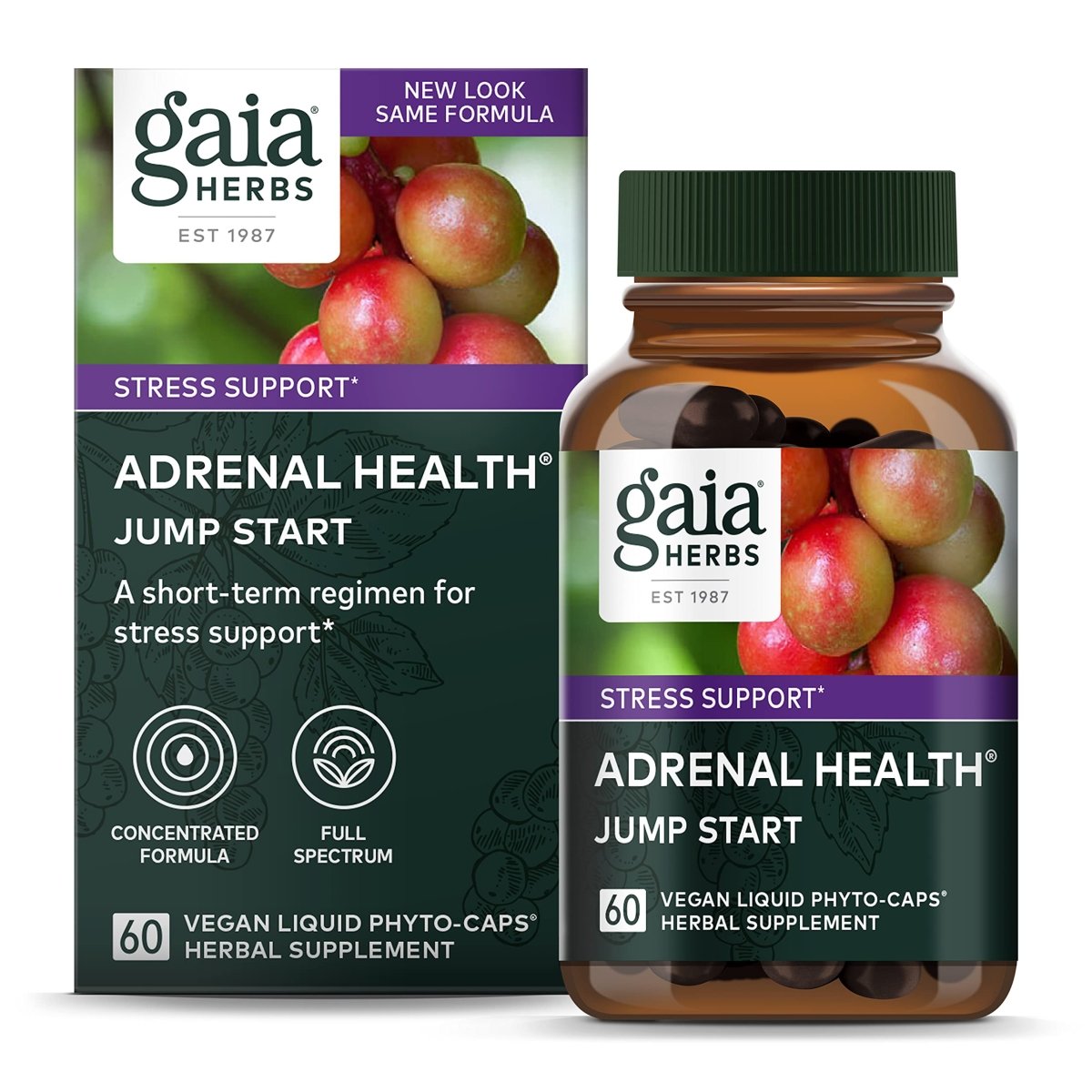 Gaia Herbs Jump Revive Start - 60 Vegan Liquid Phyto-Capsules (30-Day Supply)