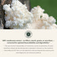 Gaia Herbs Lion's Mane Mushroom 40 Vcaps