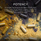 Gaia Herbs Turkey Tail Mushroom - Immune Support Supplement