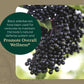 Gaia PRO Black Elderberry PRO 120 cap