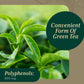 Gaia PRO Green Tea - Green Tea Herbal Supplement - 60 Vegan Liquid Phyto-Capsules (30 Servings)