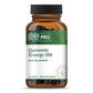 Gaia PRO Quercetin Synergy 500-  100 Vegan Tablets (100 Servings)