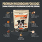 Organic Mushroom Complex for Dogs