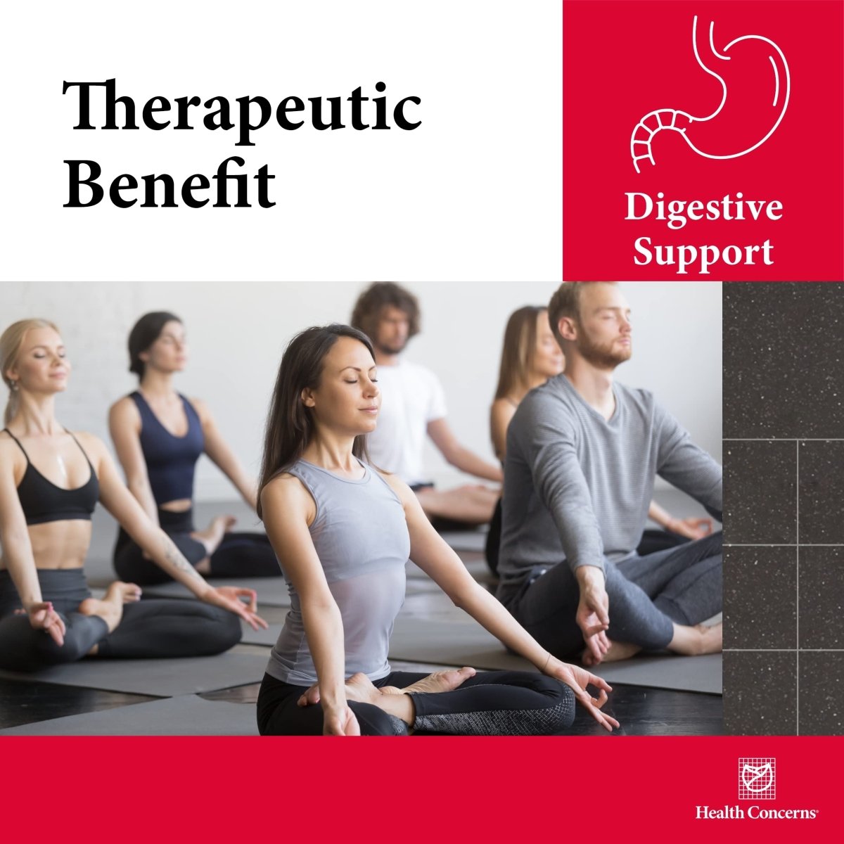 Health Concerns Source qi - Intestinal Support and Digestion Function Supplement - 270 Capsules