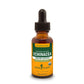Herb Pharm Echinacea Alcohol Free 4oz
