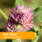 Herb Pharm Red Clover 4 oz