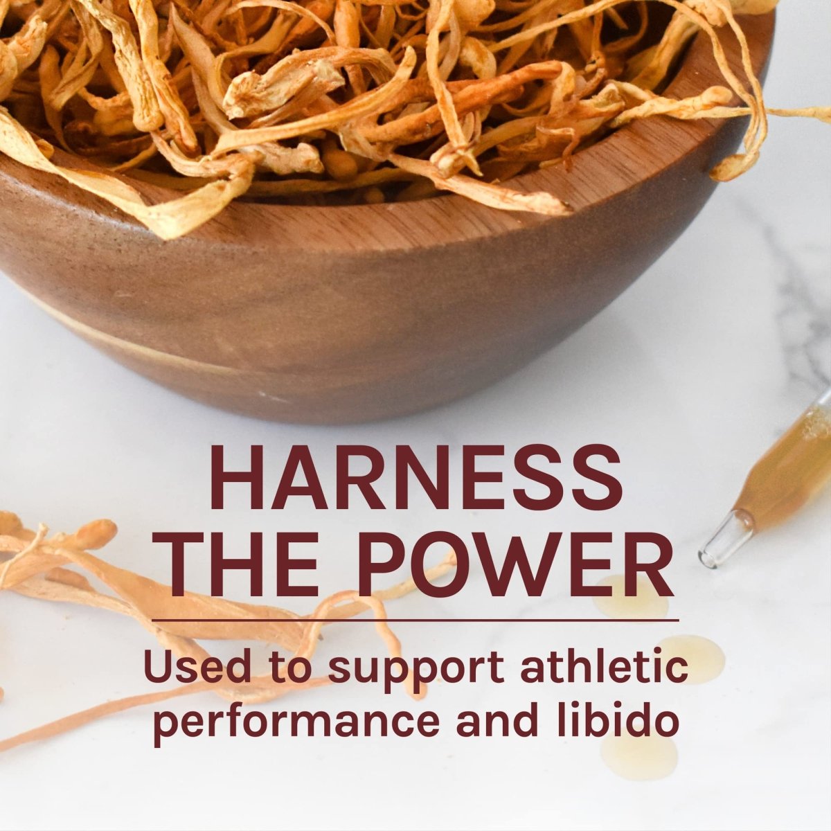 Host Defense Cordyceps Extract 2oz