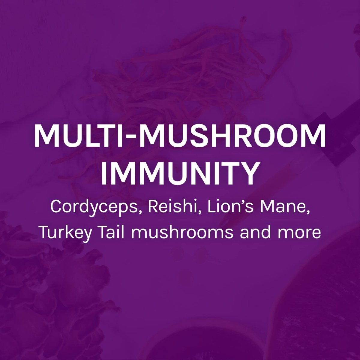 Host Defense Mycommunity Extract 4oz