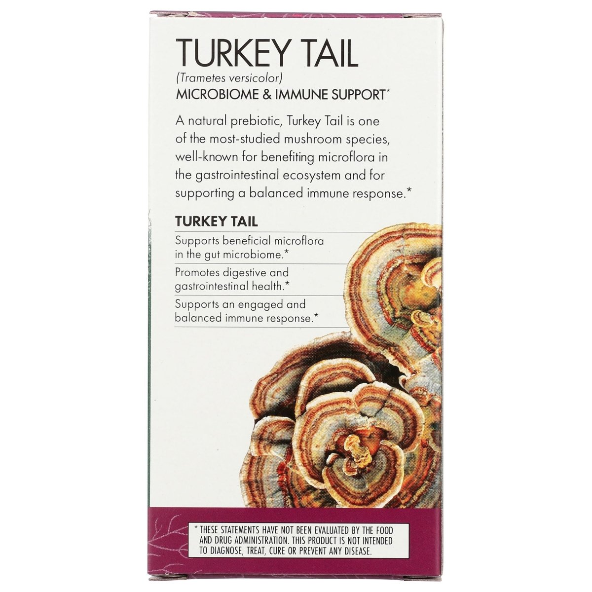 Host Defense Turkey Tail 120 Vcaps