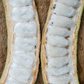 Ice Cream Bean (Inga edulis)