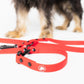 The Modern Dog Company - Ruby Red Adjustable Leash