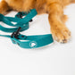 The Modern Dog Company - Forest Green Adjustable Leash