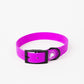 The Modern Dog Company - Electric Fuchsia Collar (Weather + Odor Resistant)