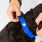 The Modern Dog Company - Royal Blue Collar (Weather + Odor Resistant)