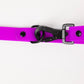 The Modern Dog Company - Electric Fuchsia Leash (Weather + Odor Resistant)
