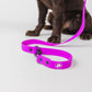 The Modern Dog Company - Electric Fuchsia Leash (Weather + Odor Resistant)