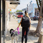 The Modern Dog Company - Electric Fuchsia Collar (Weather + Odor Resistant)