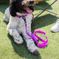 The Modern Dog Company - Electric Fuchsia Collar (Weather + Odor Resistant)