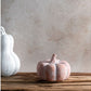 Small Terracotta Pumpkins | 3 Colors