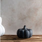 Small Terracotta Pumpkins | 3 Colors