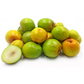 Indian Jujube (Ziziphus mauritiana)