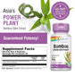 Solaray Bamboo Stem Extract 600mg 60 VegCaps