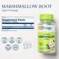 SOLARAY Marshmallow Root 480 mg Healthy Respiratory Function & Digestion Support Non-GMO & Vegan 100 VegCaps