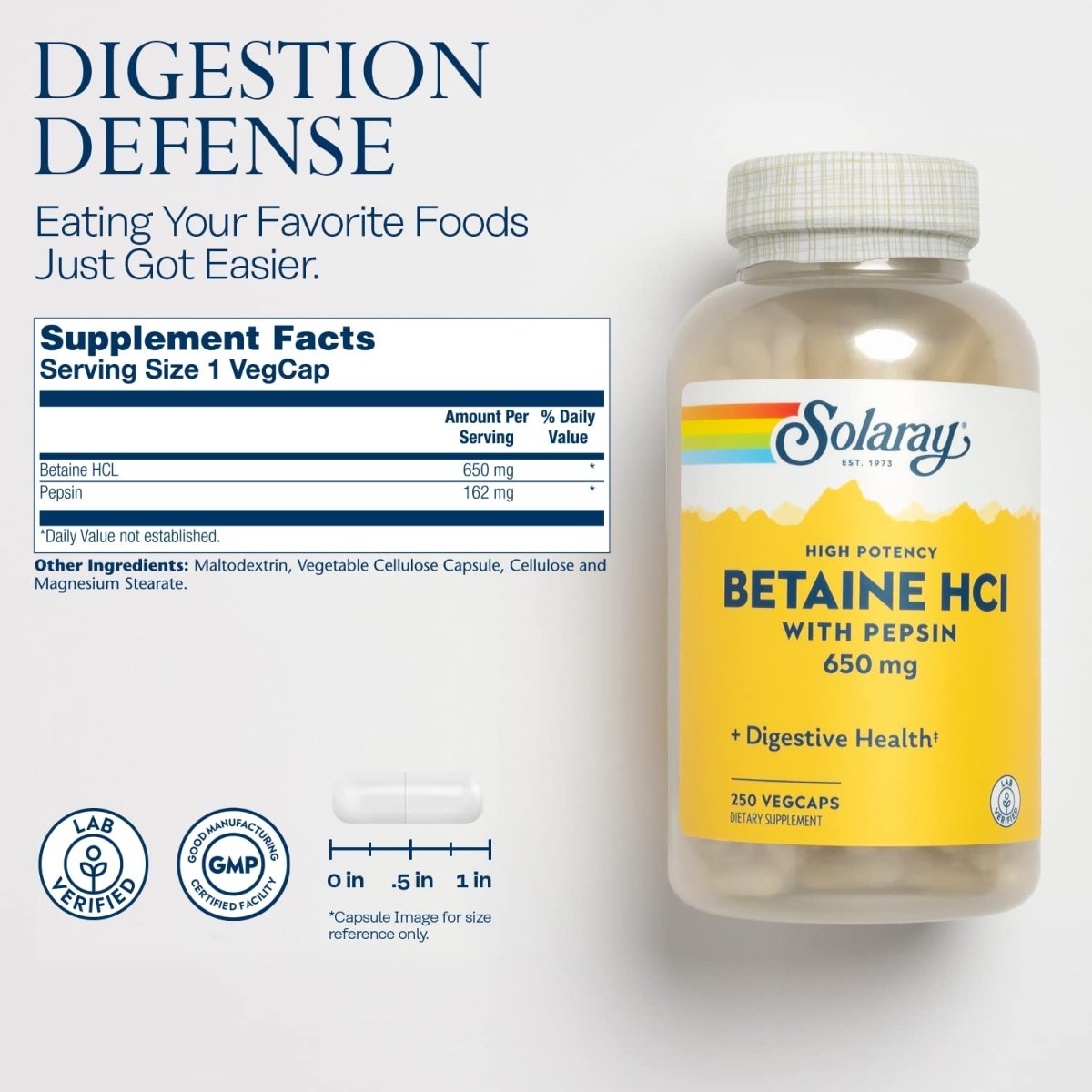 Solaray High Potency Betaine HCL with Pepsin - 250 VegCaps
