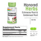 SOLARAY Echinacea Root & Goldenseal Root 500mg 100 VegCaps