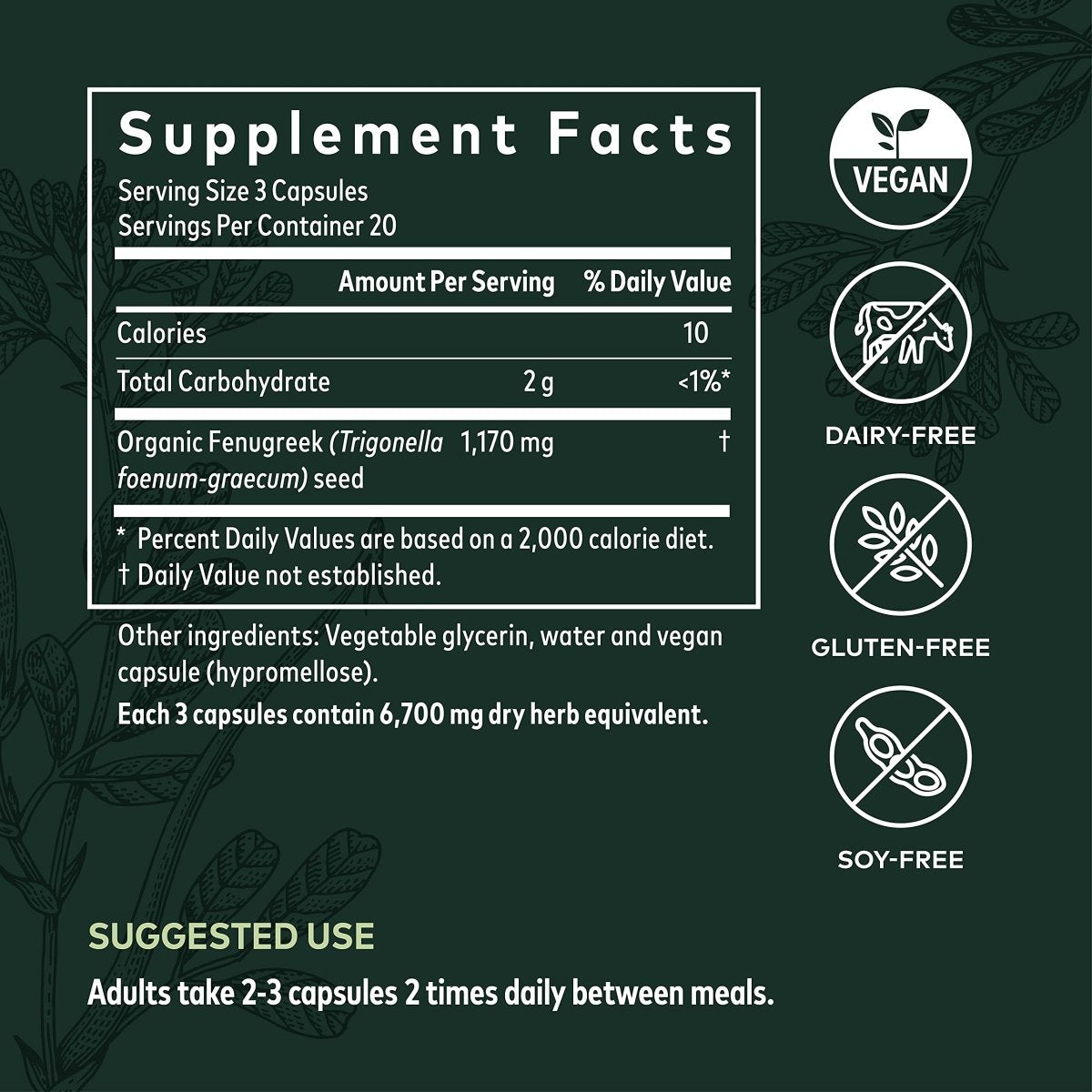 Gaia Herbs Fenugreek Seed - Made with Organic Fenugreek Seeds - 60 Vegan Liquid Phyto-Capsules (Up to 15-Day Supply)