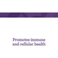 Innate Response C Complete Powder 2.9 oz