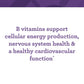 Innate Response Men Over 40 One Daily Iron Free 60 Tablets
