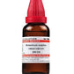 Dr. Willmar Schwabe India Arsenicum Sulphuratum Rubrum Dilution
